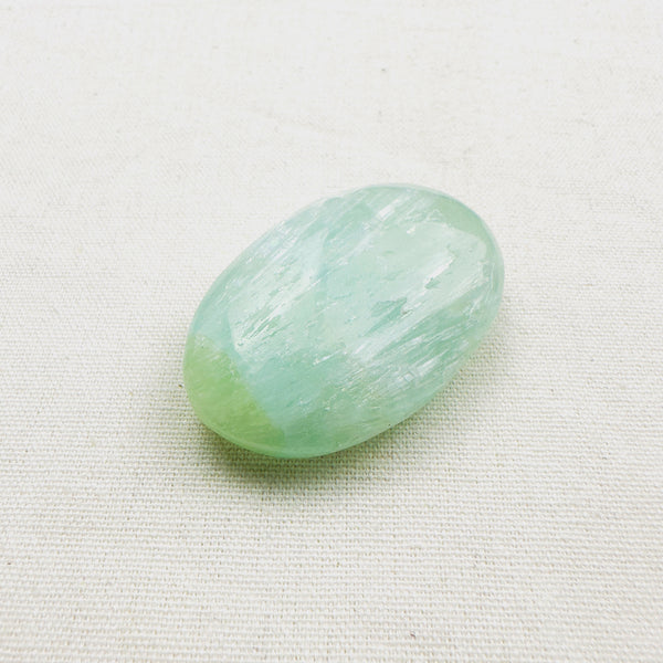 AMAZONITE PALM STONE